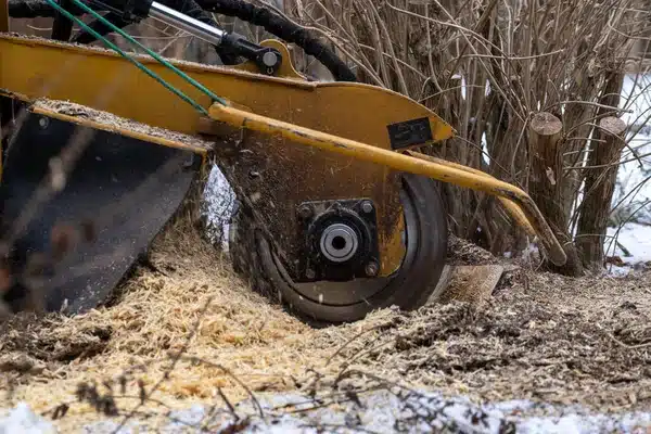 Tree waste removal 