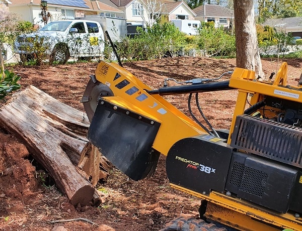 Tree waste removal 